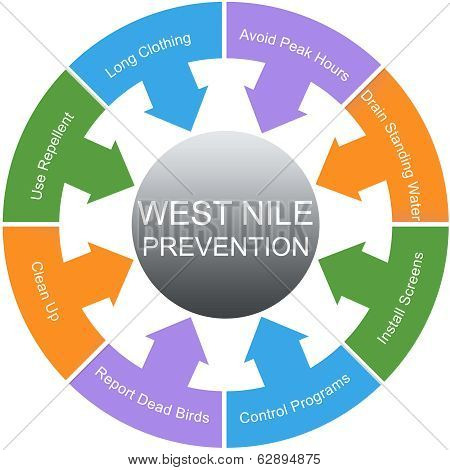 West Nile Prevention Word Circles Concept