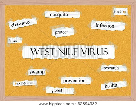 West Nile Virus Corkboard Word Concept