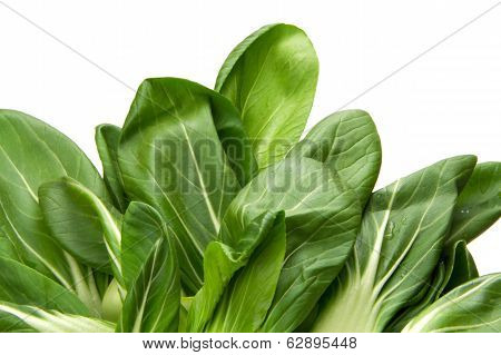 Baby Bokchoi