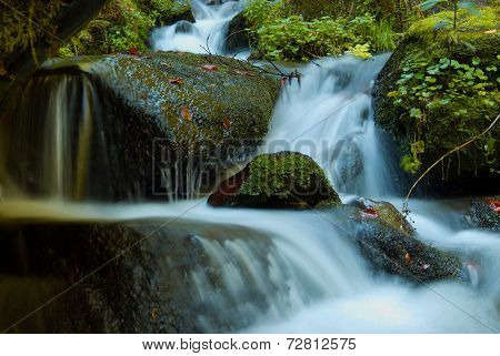 Waterfall - Cascade In The Autumn Forest