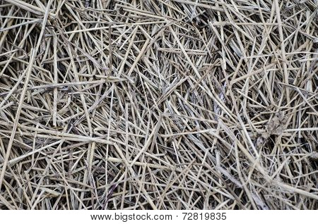 straw texture