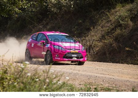 Avis Bosphorus Rally