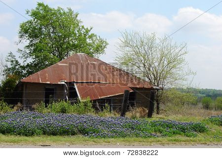 Old Barn