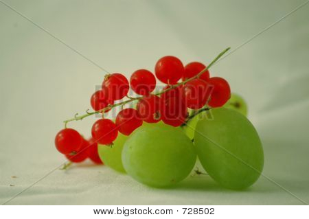 Uva e Ribes