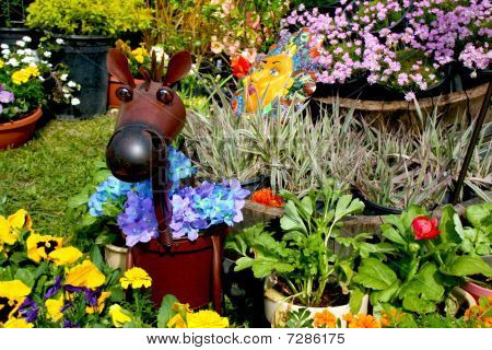 Blume-Pferd