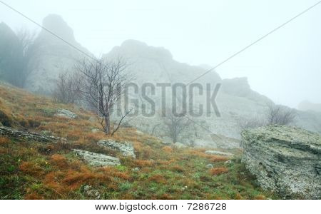 Rocky Mountain