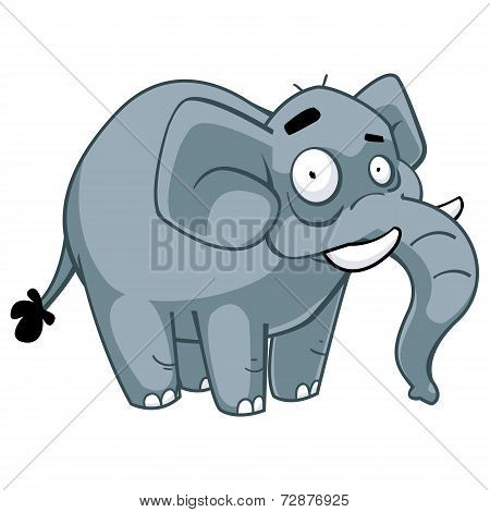 Fat Elephant