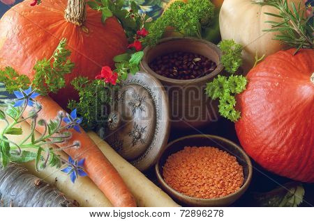 Pumpkins carrots seeds butternut squash and herbs - Still life composition with seasonal vegetables