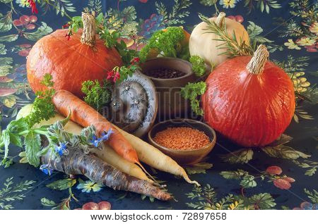 Pumpkins carrots seeds butternut squash and herbs - Still life composition with seasonal vegetables
