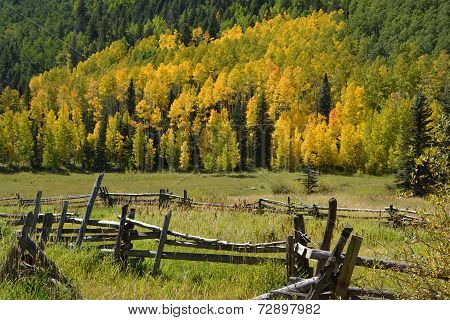 Western Fall