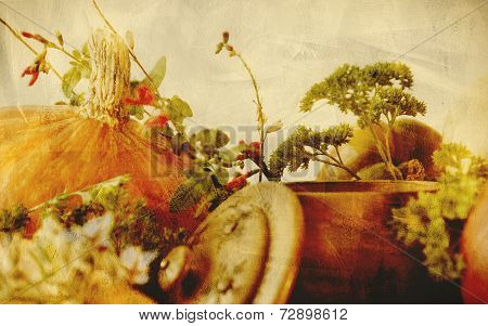 Background texture with pumpkins carrots seeds butternut squash and herbs - Still life composition w