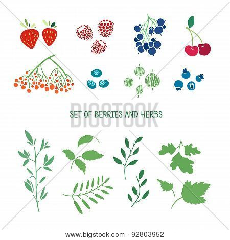 Set of berries, herbs and plants. Simple colors. Cherries, blueberries, strawberries, gooseberries,