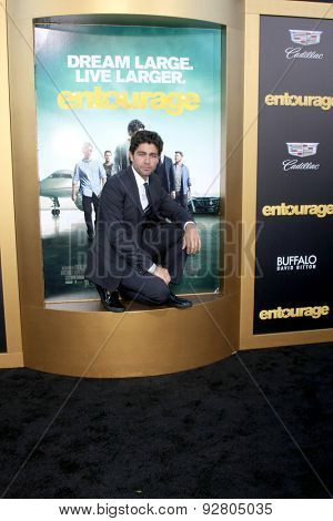LOS ANGELES - MAY 27:  Adrian Grenier at the 