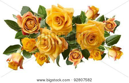 Beautiful  Bouquet Of Yellowish Orange Roses Isolated On White Background
