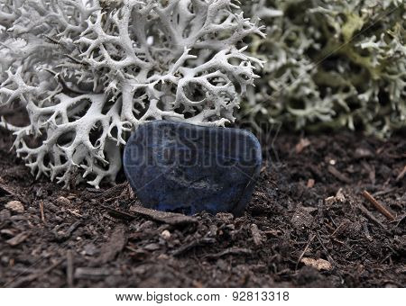 Dumortierite On Forest Floor