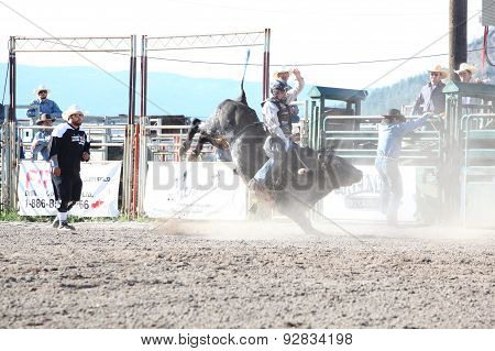 Ty Pozzobon Invitational Pbr