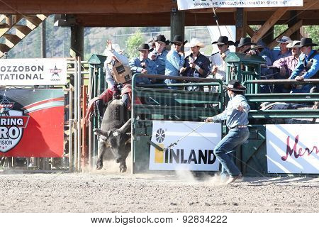 Ty Pozzobon Invitational Pbr