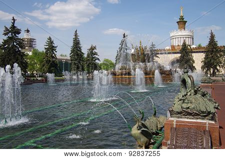 Fountain Stone Flower In Moscow