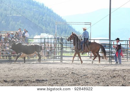 Ty Pozzobon Invitational Pbr