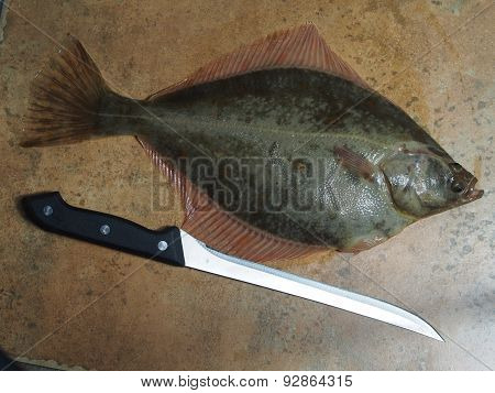 Big Fish Flounder