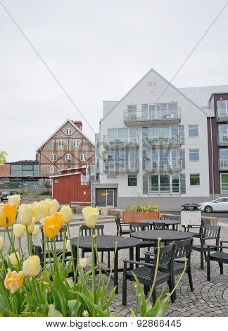Residential modern building with tulips