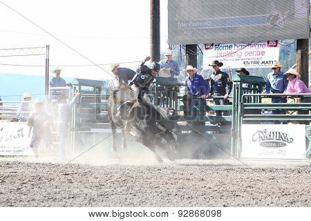 Ty Pozzobon Invitational Pbr