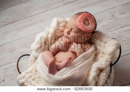 Newborn Baby Girl Wearing A Flower Headband