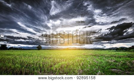 Storm Clouds Panorama View Before Rainny And Field Meadow