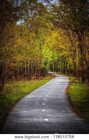 Bicycle Path Through The Forest In Autumn In National Park