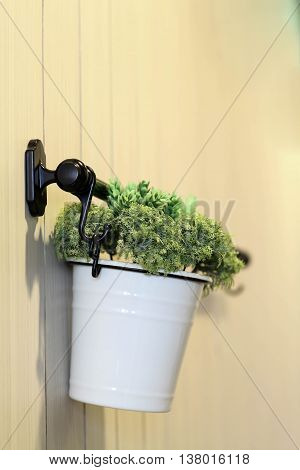 Modern flower pot hanging on wall for house decoration.