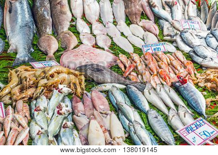 Fish market with a great choice seen in Istanbul, Turkey