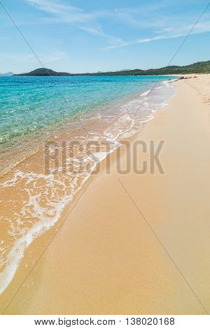 golden shore in Liscia Ruja beach Sardinia