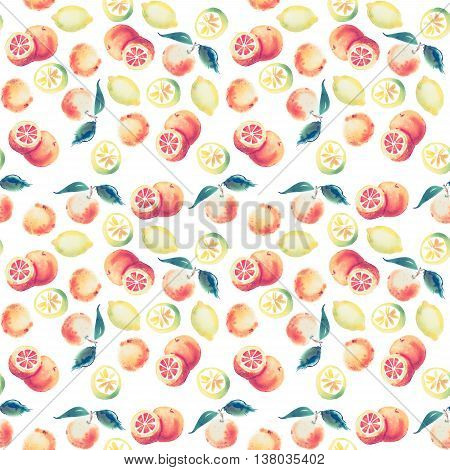 watercolor drawing set of tropical fruits, citrus aquarelle painting on white background.