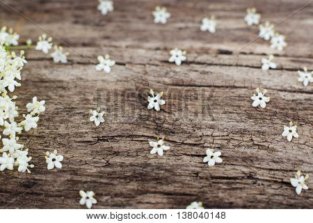 Old wood with small white flowers on it, copyspace. Wooden background with honky summer blossom, romantic style