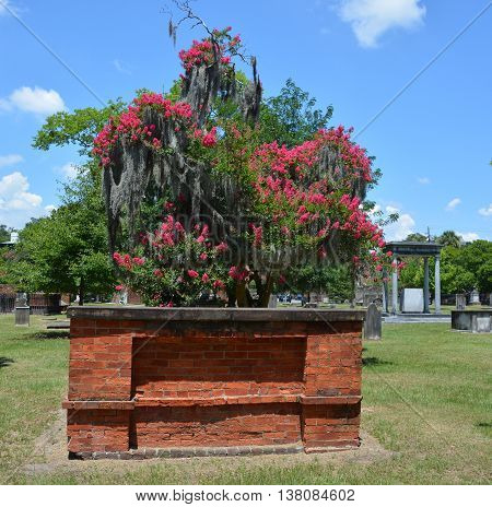 SAVANNAH GEORGIA USA JUNE 26 2016: Colonial Park Cemetery has been closed to interments since 1853 and is the oldest intact municipal cemetery in Savannah.