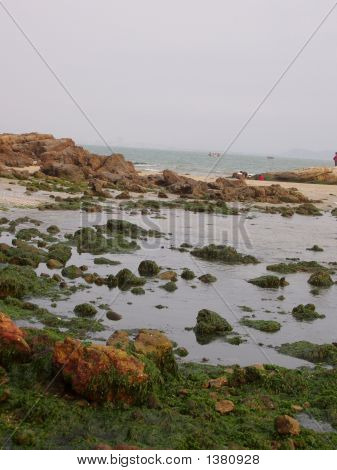 Mer
