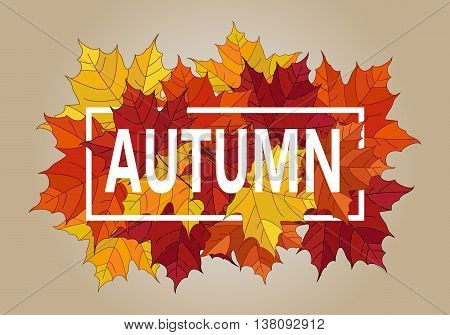 Autumn vector banner. Pile of leaves. Maple autumn  leaves. Autumn typographic.Vector Fall leaf.