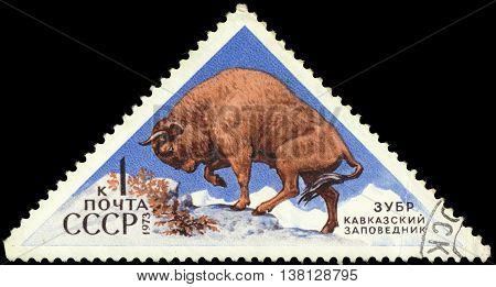 USSR - CIRCA 1973: a post stamp printed in the USSR shows an animal with the inscription "Bison bonasus" the series "Fauna - Nature Reserves" circa 1973