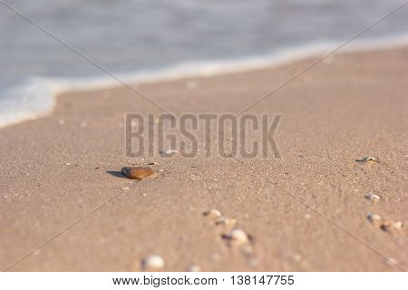 Seastone on a sandy beach in the background waves. Sea foam