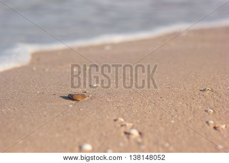Seastone on a sandy beach in the background waves. Sea foam