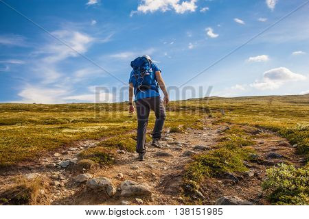 hiker with backpack traveling in Norway mountains Dovre