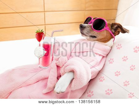 Relax Spa Wellness Dog