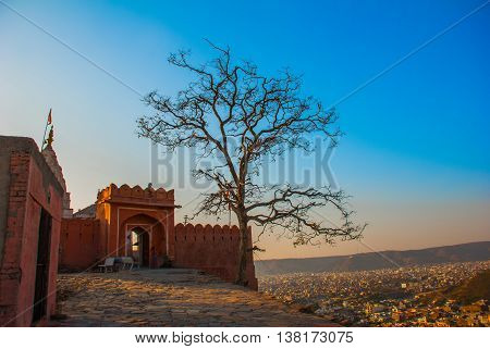 Monkey Temple. Jaipur. India.