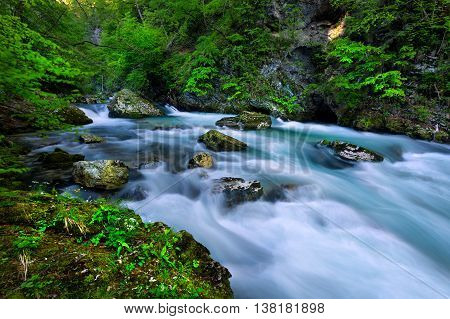 Soteska Vintgar In The River Radovna