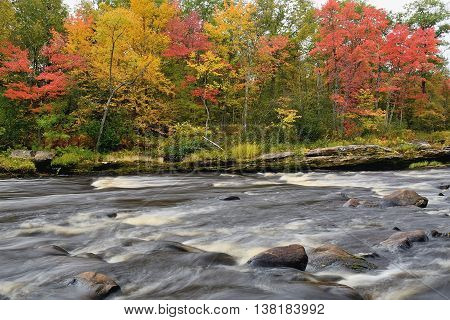 Fall Colors Along the Kettle River in Banning State Park near Sandstone Minnesota