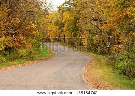 Autumn Colors Along a Rural Road in the Midwest