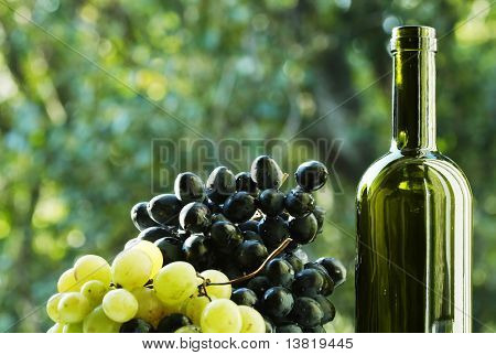 Vin og druemost