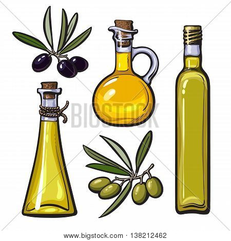 Set of olive oil bottles with black and green olives isolated sketch style vector illustration on white background. Set of beautiful realistic traditional oil bottles