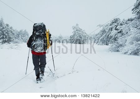 Kletterer im verschneiten Wald