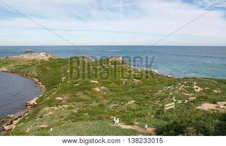 Penguin Island scenic views with native flora covering the coastal dunes, nesting birds and Indian Ocean seascape under a cloudy sky in Rockingham, Western Australia.